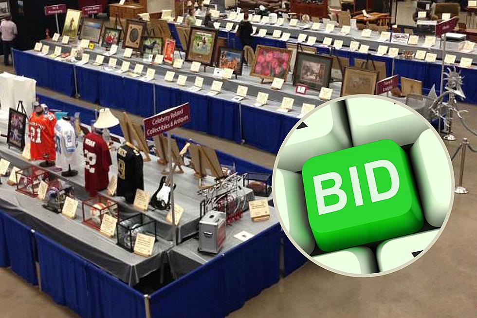 Bid On a Great Deal at the West Texas Rehab Telethon Auction