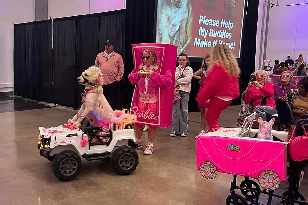 Abilene's Fur Ball: A Barbie Dog-themed Event Brings Joy