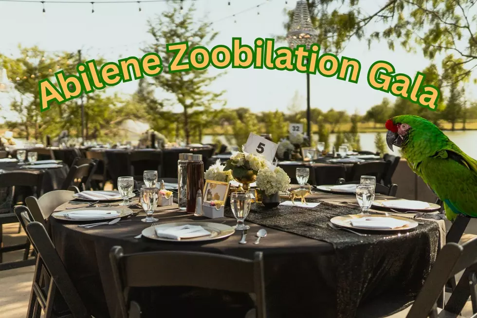 Zoobilation: The Ultimate Fun Springtime Party at the Abilene Zoo