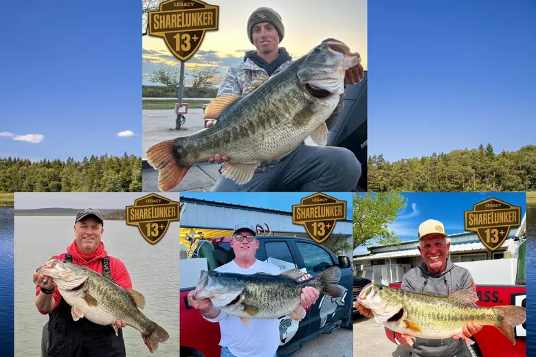 Giant Bass Through the Stages of Fall - Fishing Minnesota - Fishing  Reports, Outdoor & Hunting News