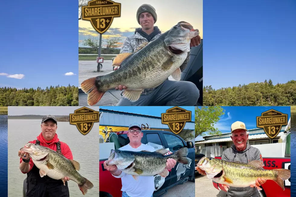 O.H. Ivie Lake Pops Out 4 More Massive Legacy Class ShareLunkers