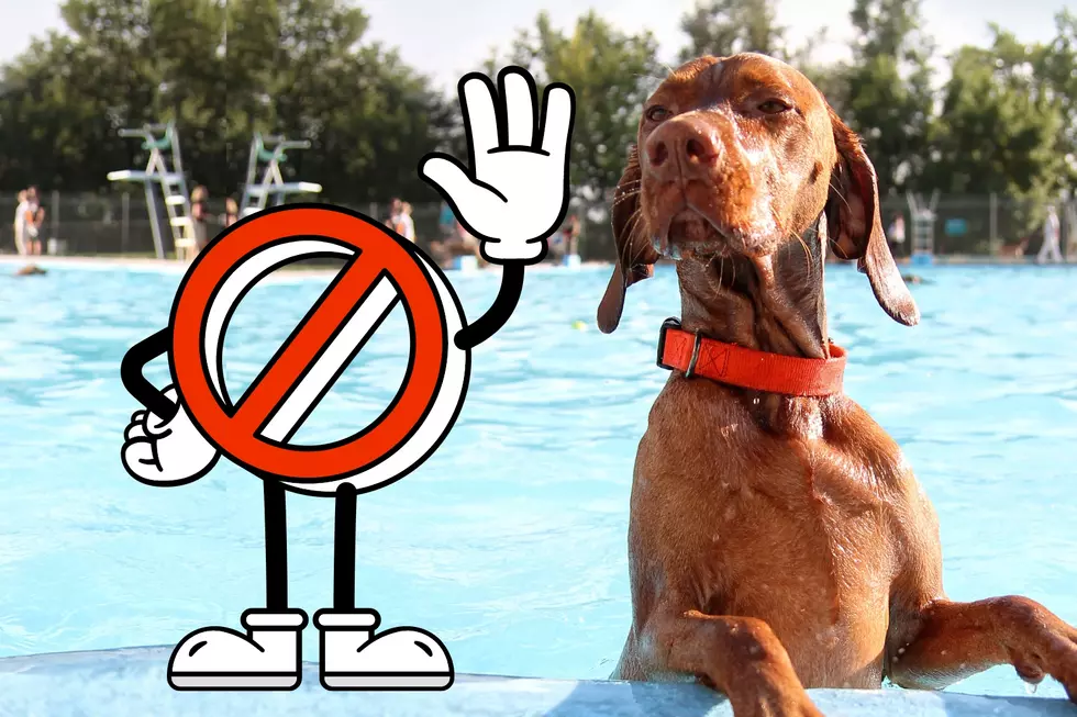 No Dogs Allowed to Have Fun in or Near Abilene Pools or Splash Pads
