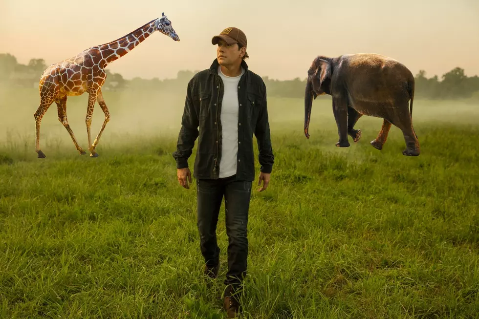 Don&#8217;t Miss Rodney Atkins Live at Abilene Zoo: Fun and Music Await