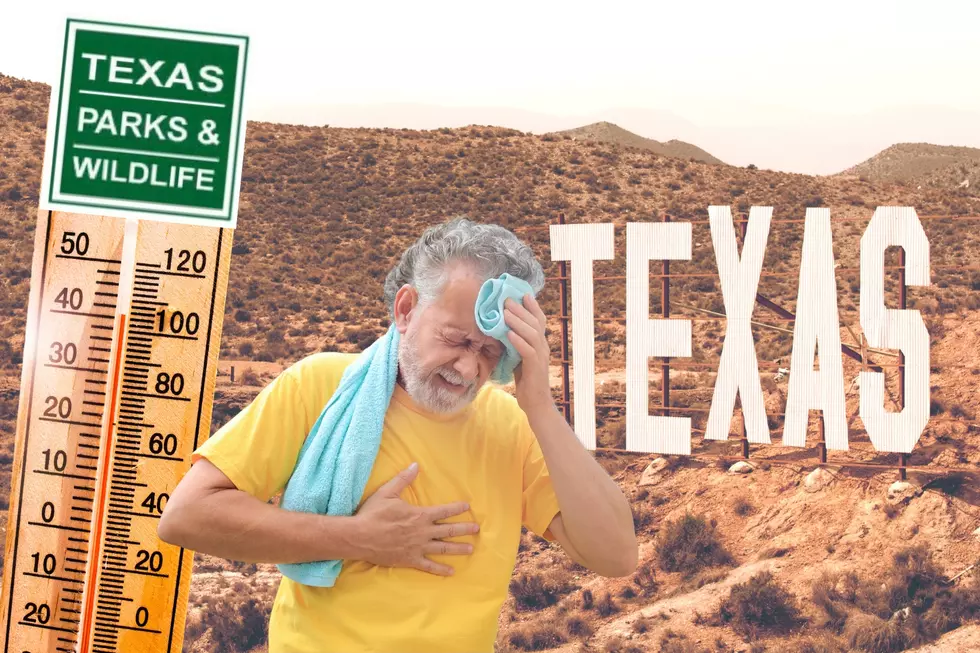 The Top 7 Safety Tips to Survive the Hot Texas Summer Heat!