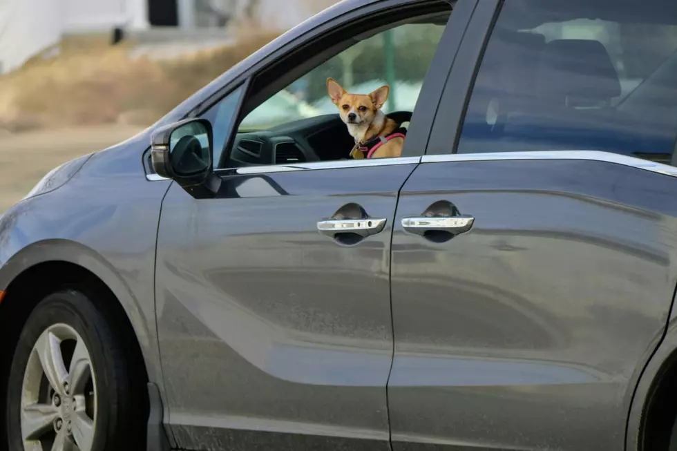 Texas Police Clarify What Counts as Distracted Driving