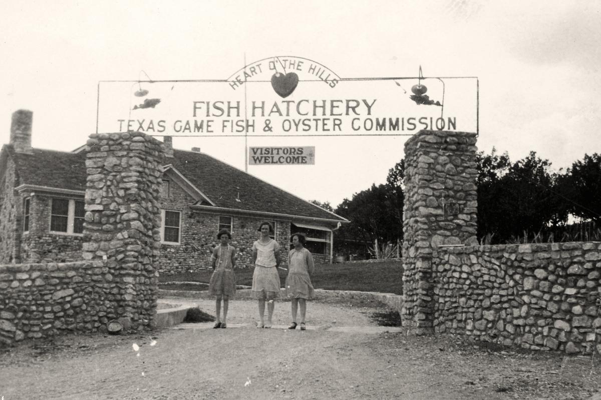 Why Heart Of The Hills Is Important For Texas Aquatic Life