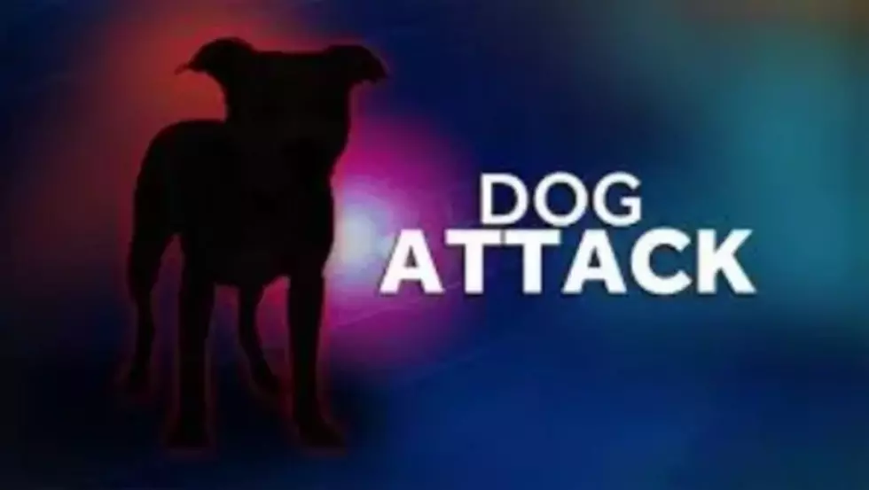 Williston Man Charged in Dog Attack on Four People