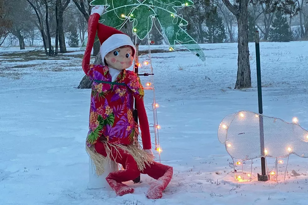 Elf on a Shelf Roams Spring Lake Park Holiday Lights Drive
