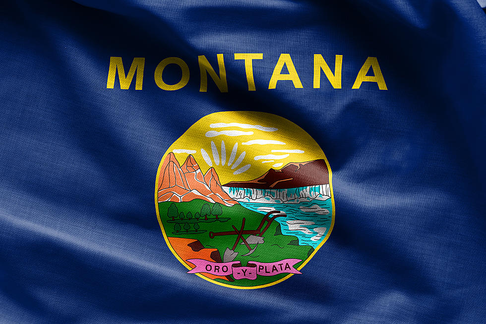 Unveiling Montanans’ Unique Passions That Outshine Other States