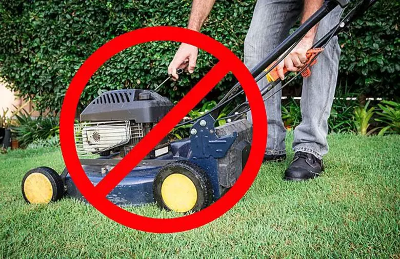 When To Stop Mowing