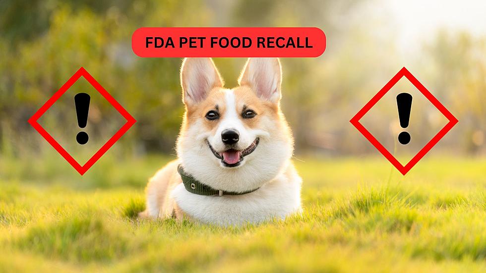 FDA: Throw Away This Dog Food Sold At North Dakota Tractor Supply &#038; Menards