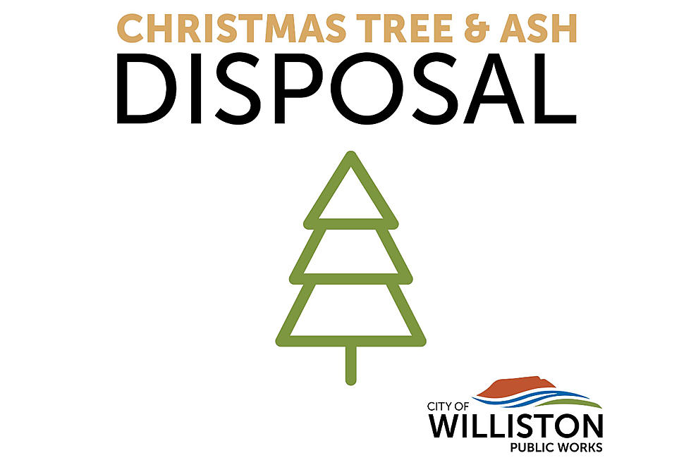 Williston ND Offers Convenient Christmas Tree and Ash Disposal Options Provided by Public Works