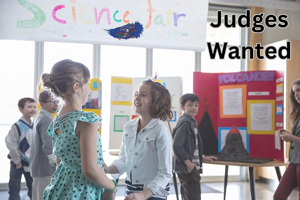 Support Young Scientists: Volunteer As A Judge At The Science Fair!