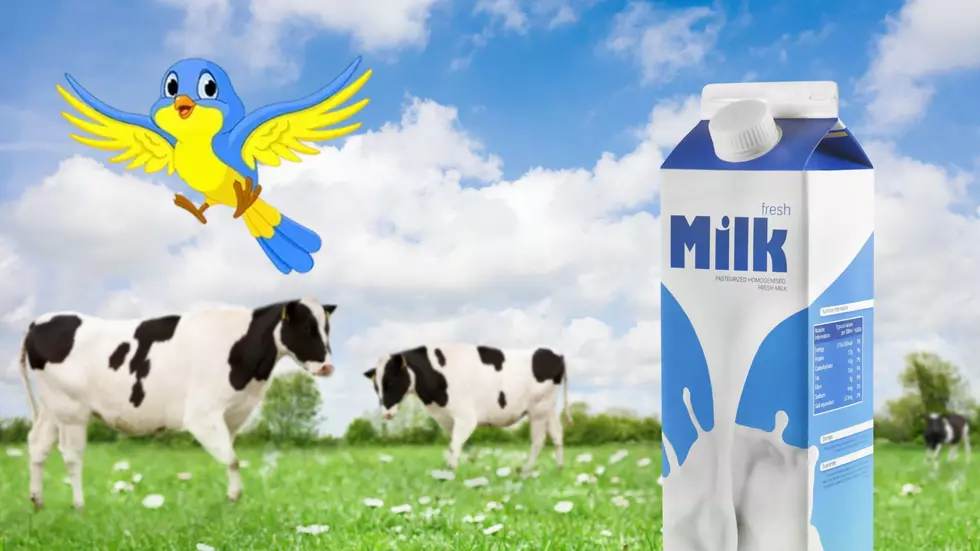 Bird Flu May Have An Impact On North Dakota's Milk Production 