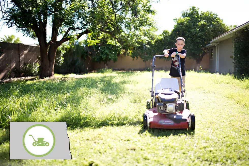 ND Lawn mower