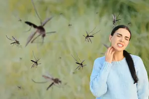 Williams County Takes Aim at Mosquitoes in Trenton, Grenora and Williston, ND