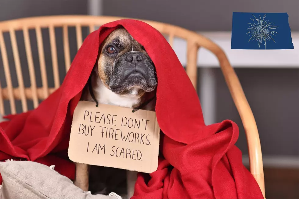 Before the Fireworks Begin: Every North Dakota Pet Owner Should Read This