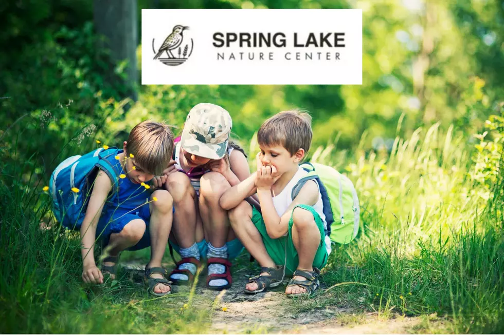 Roots & Wings Festival Returns To Williston's Spring Lake, July 2026