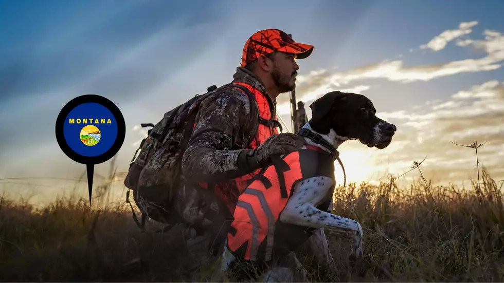 How Montana Hunters Move Up The Line After A Tough Draw Year