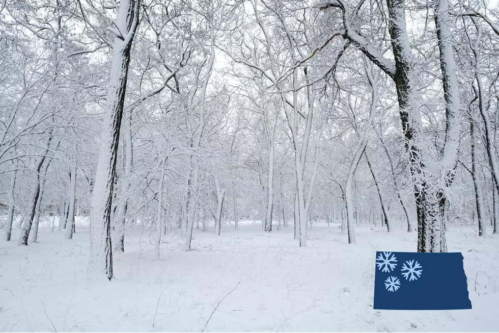 ND Winter