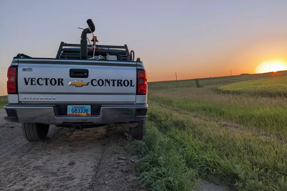 Mosquitoes Are Bugging You? Fogging Is Scheduled in Williston and Area Communities