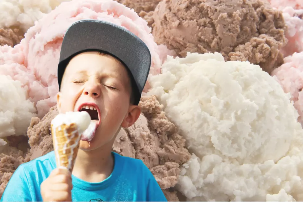 North Dakota Has a Favorite Ice Cream Flavor, Is It Yours?