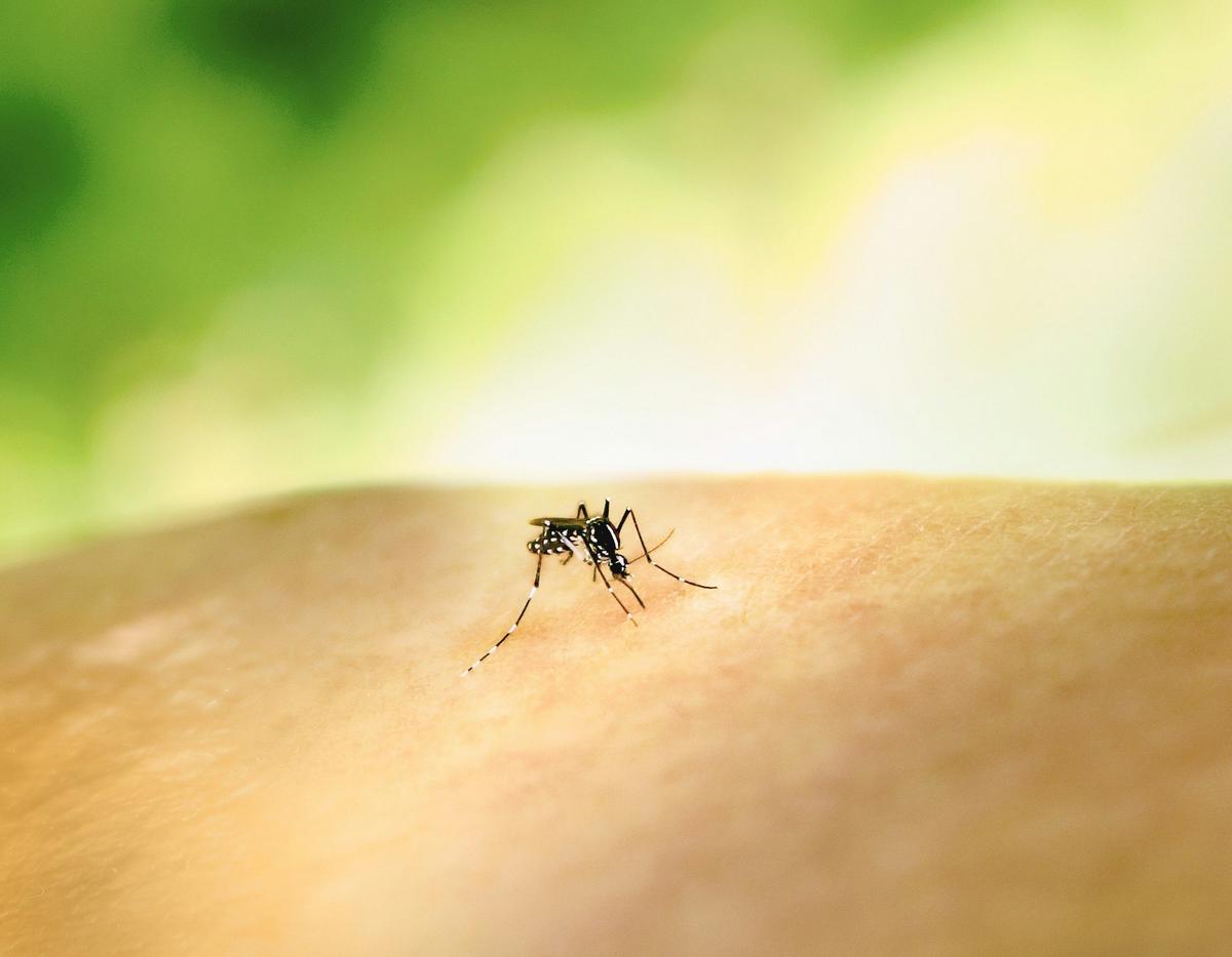 North Dakota Reports First West Nile Case Of Season In Cass County