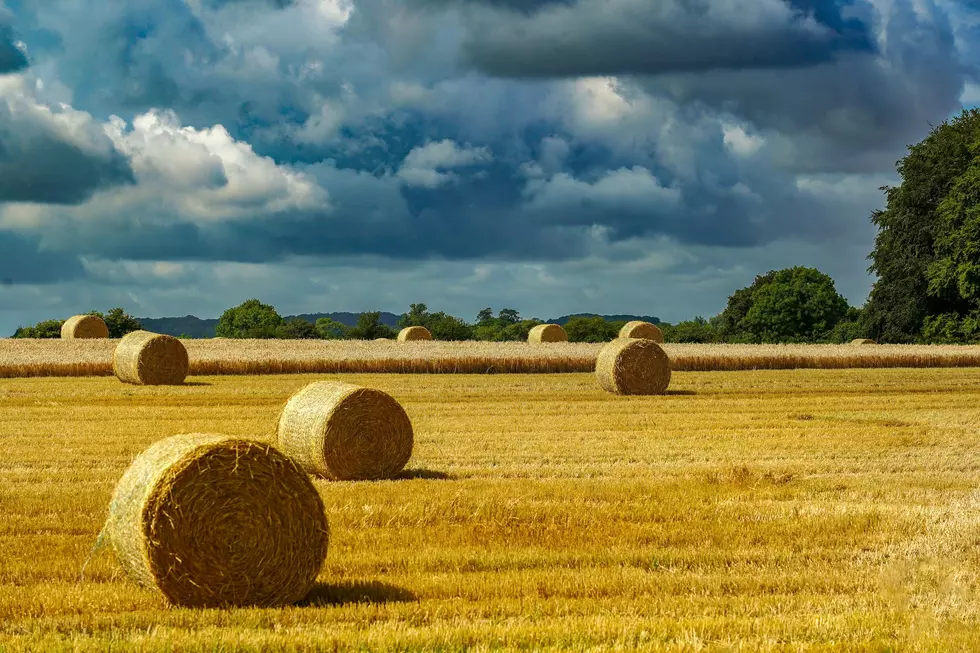 North Dakota Hay Hotline Activated As Drought Grips Parts Of The State