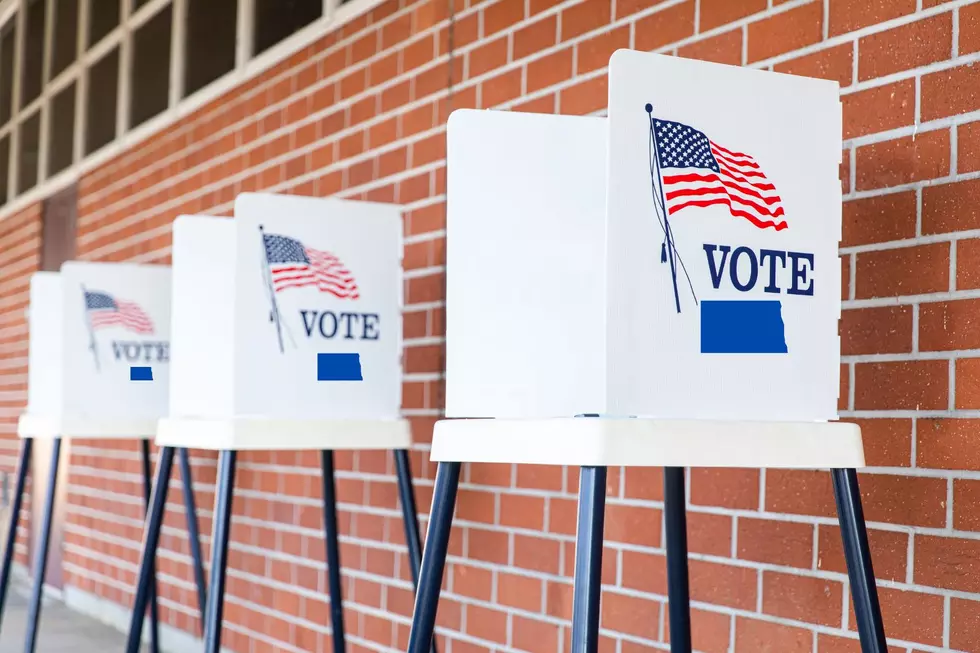 Williams County Needs Workers for the November Election