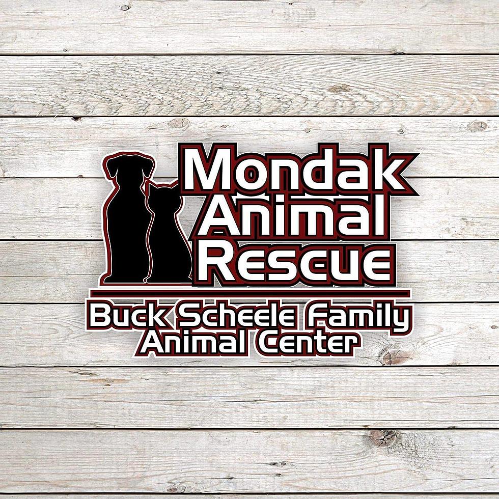 MonDak Animal Rescue Fundraisers Coming Up 