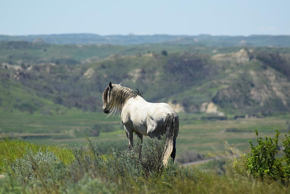 Snap and Win: Enter the North Dakota’s Governor’s Photo Contest