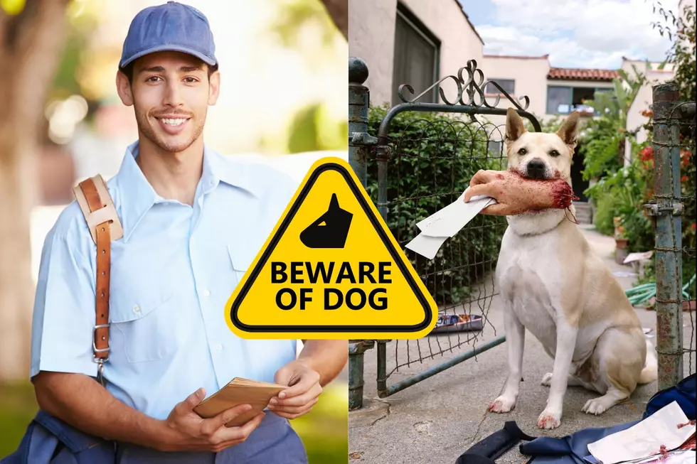 Keeping North Dakota Mail Carriers Safe: Tips for Dog Owners