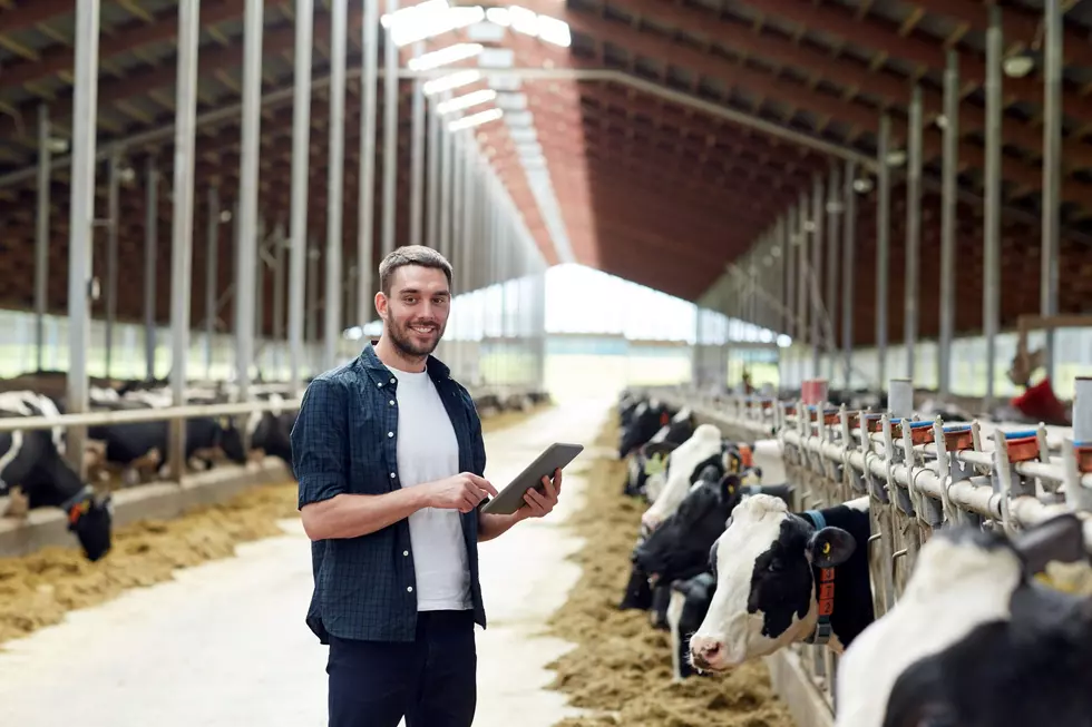 Dairy Industry Need To Look At Different Forms Of Communication