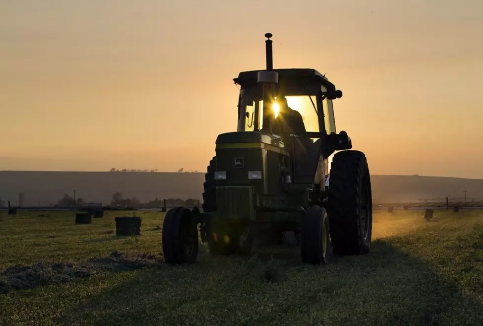 Farm Sector Profits Forecast to Fall in 2023