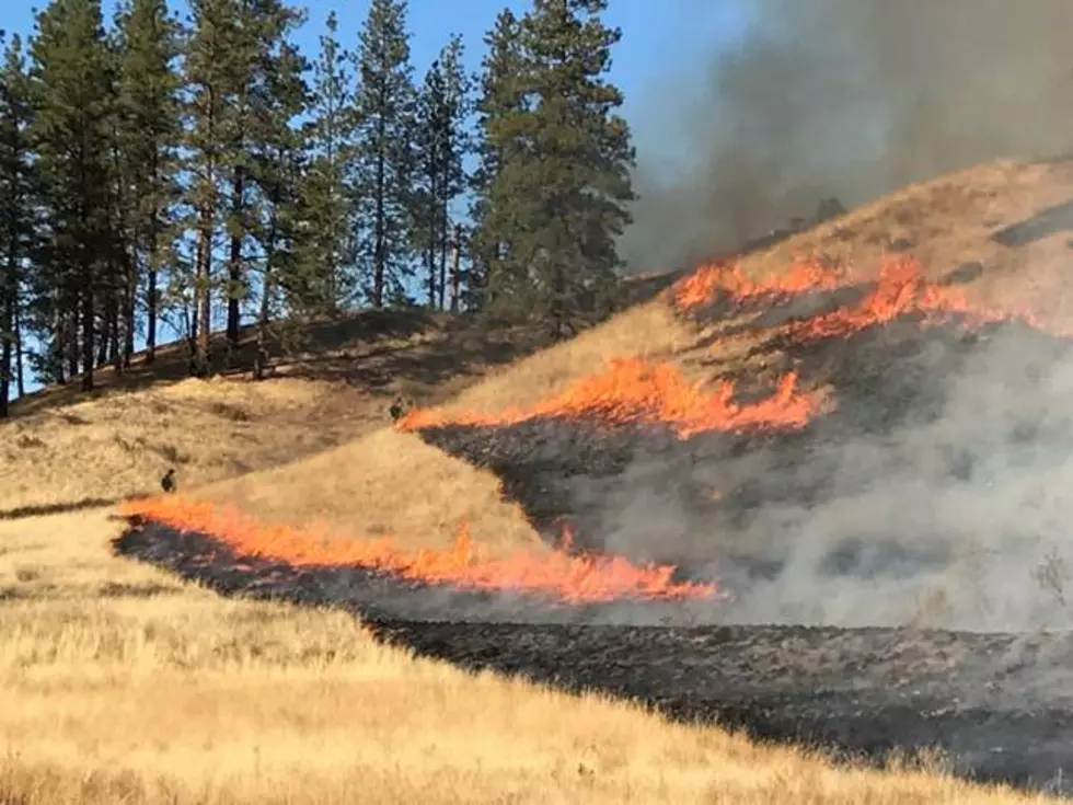 Rippey: Wildfire Concerns Will Grow In The Northwest
