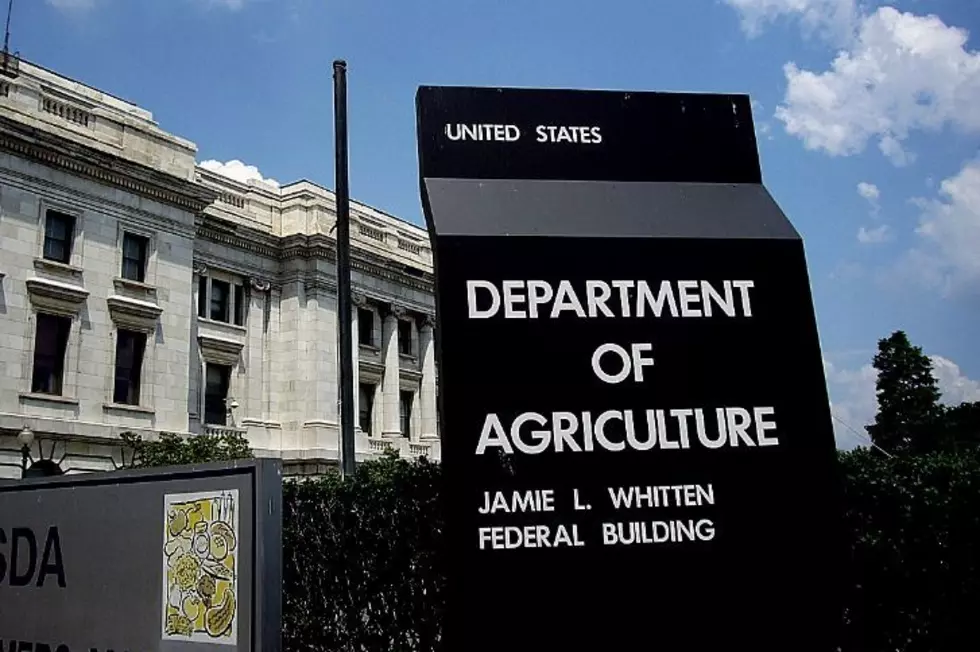 USDA Announces No Actions Under Feedstock Flexibility Program