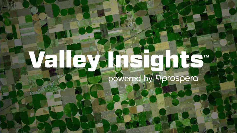 Valley Insights: What Does The Future Look Like