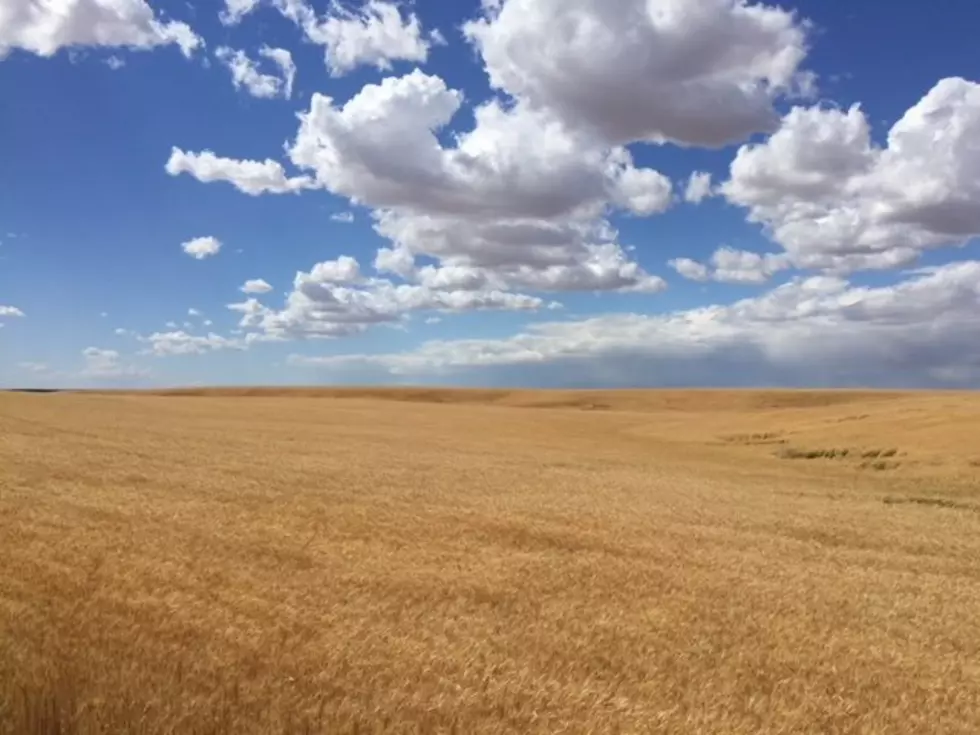 Winter Wheat Planting Progressing Nicely Across The U.S.