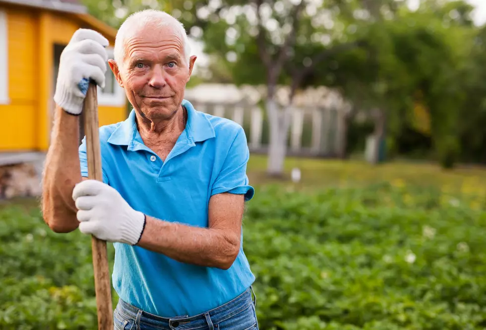 Can Diet Help Address Alzheimer&#8217;s Disease?