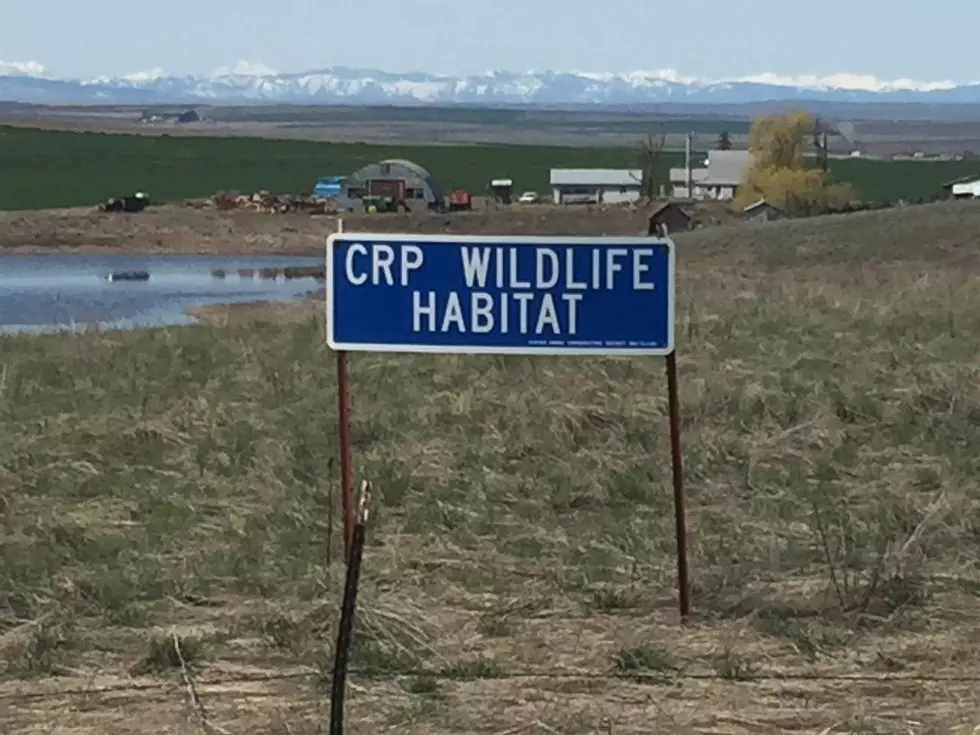 CRP Sign-up Underway