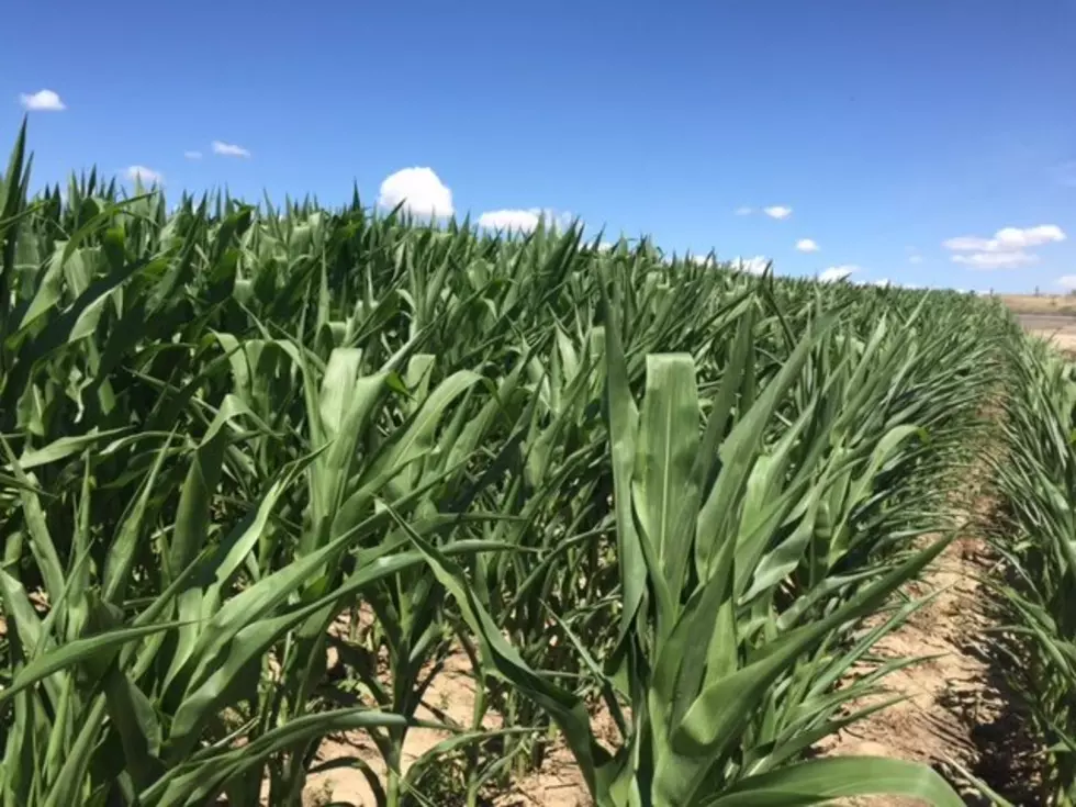 Vilsack: USDA Needs To Look At Boifuels For Today & Tomorrow