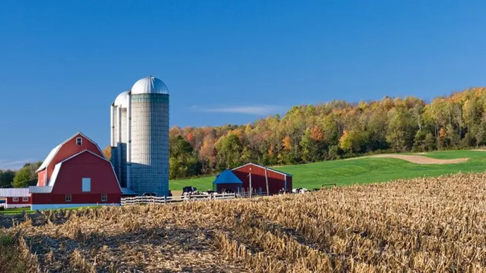 Farmland Preservation A Priority For Idaho Farm Bureau