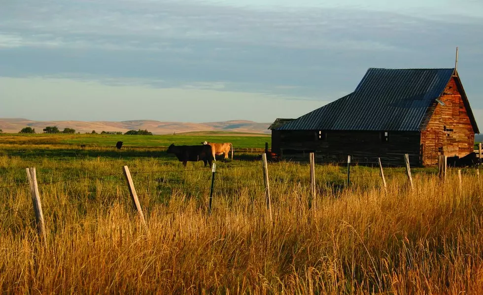 USDA Introduces New Insurance Policy for Farmers Who Sell Locally