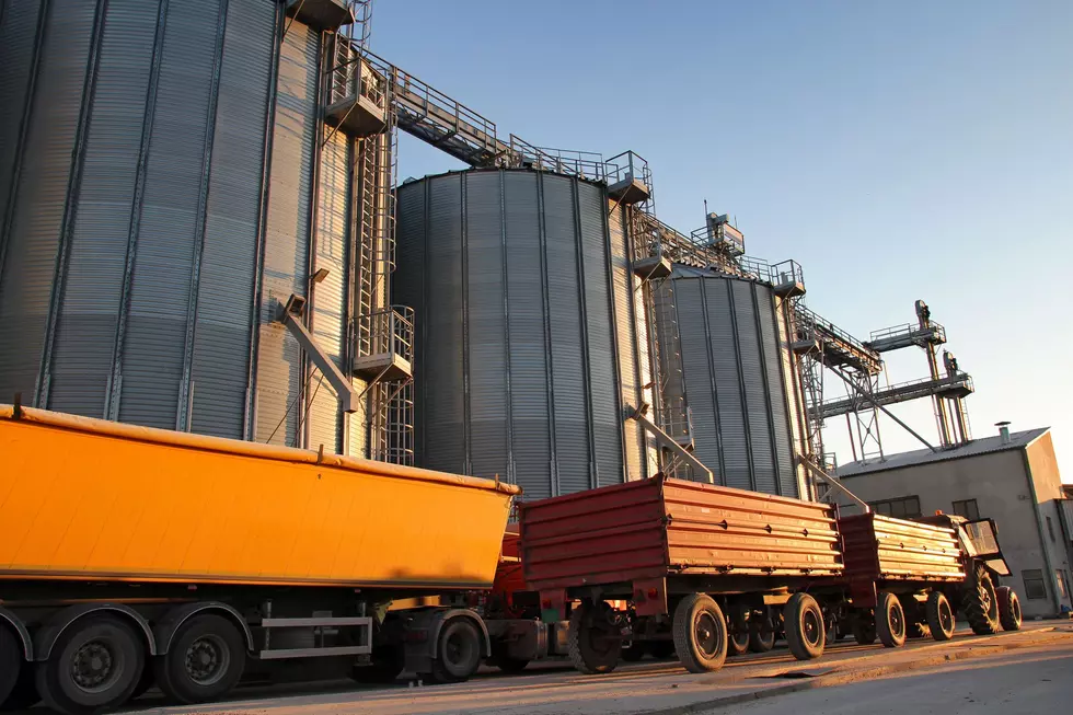 Proper Storage Vital For PNW Grain Growers