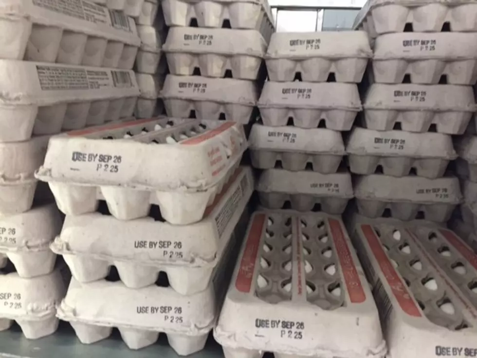 July Egg Production Down, Broiler Hatch Up