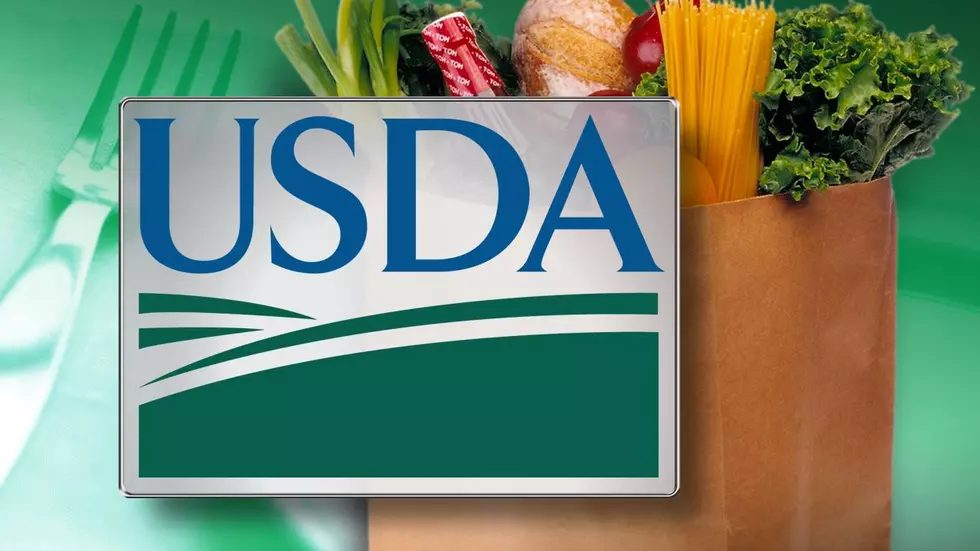 Maintaining SNAP Benefits A Priority For USDA, Vilsack Says
