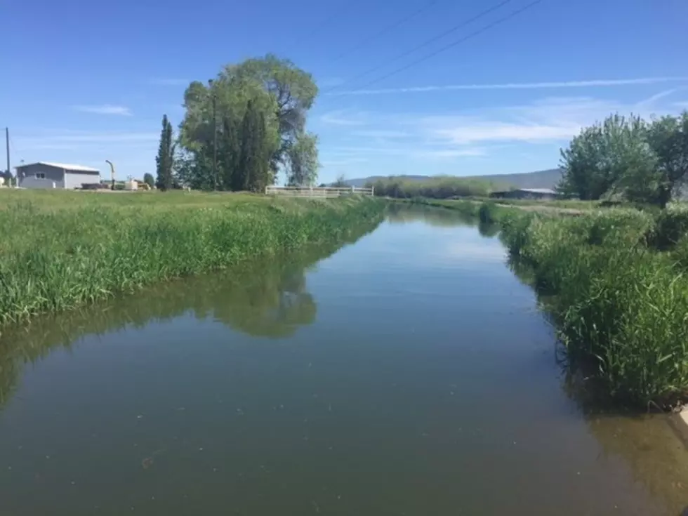 Farmers Asked To Watch For Pests During Hot Weather