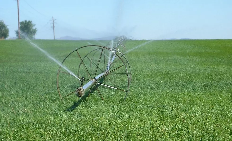 Valley Insights: Preventing Over or Under Watering