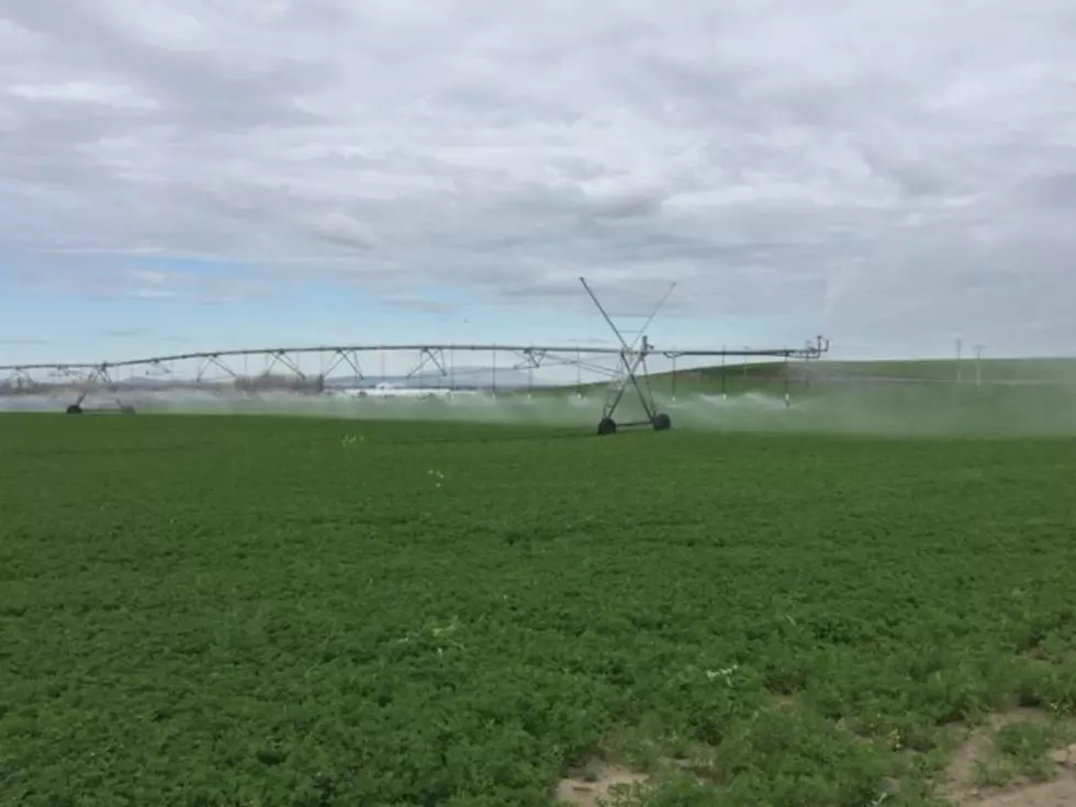 Technology Continues To Change The Face Of Irrigation