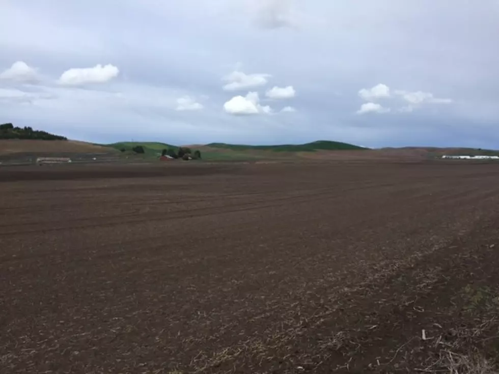 USDA Seeks Oregon Soil Health Projects